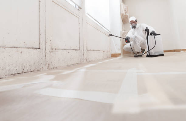 Post-remediation clearance in Union City